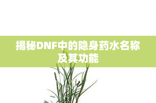 揭秘DNF中的隐身药水名称及其功能图片