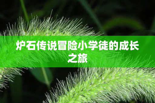 炉石传说冒险小学徒的成长之旅图片