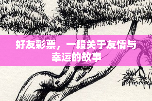 一段关于友情与幸运的故事图片