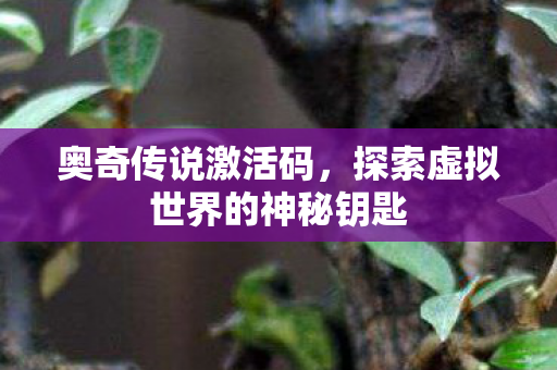 探索虚拟世界的神秘钥匙图片