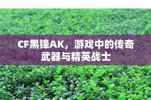 游戏中的传奇武器与精英战士图片