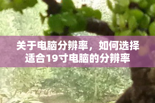 如何选择适合19寸电脑的分辨率图片