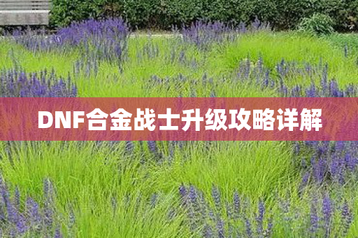 DNF合金战士升级攻略详解图片