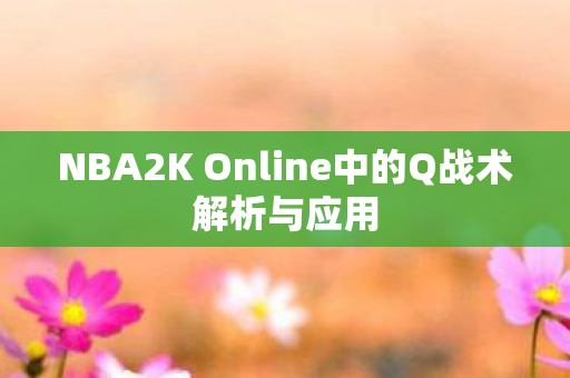 NBA2K Online中的Q战术解析与应用图片