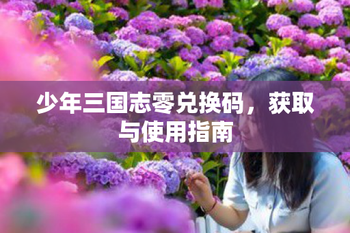 少年三国志零兑换码图片