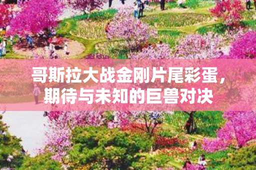 哥斯拉大战金刚片尾彩蛋图片