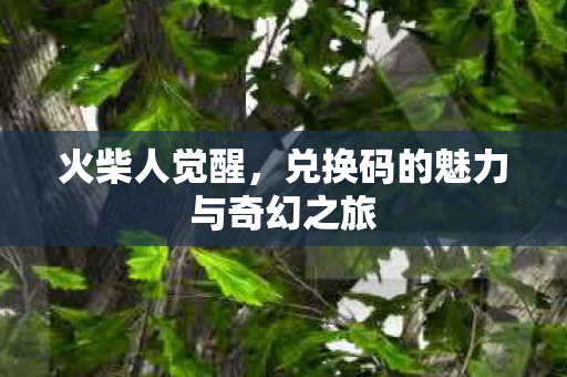 兑换码的魅力与奇幻之旅图片