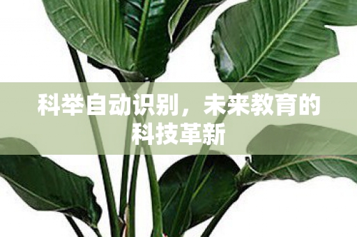 未来教育的科技革新图片