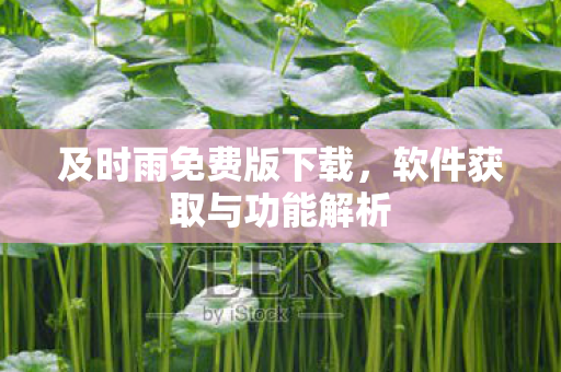 软件获取与功能解析图片