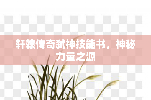 轩辕传奇弑神技能书图片
