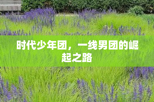 一线男团的崛起之路图片