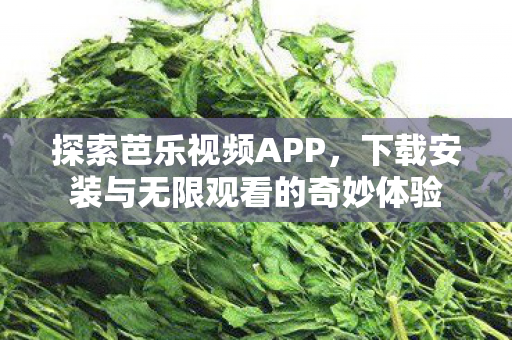 下载安装与无限观看的奇妙体验图片
