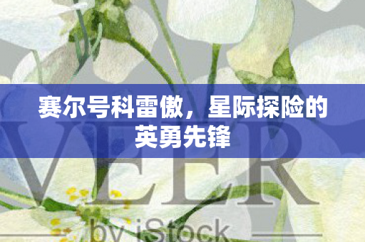 星际探险的英勇先锋图片