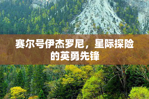 星际探险的英勇先锋图片