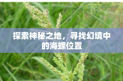 寻找幻境中的海螺位置图片