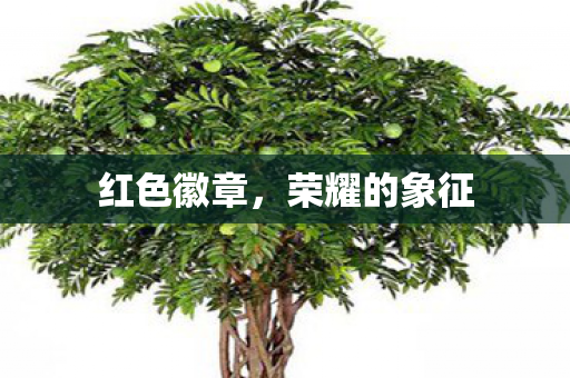 荣耀的象征图片