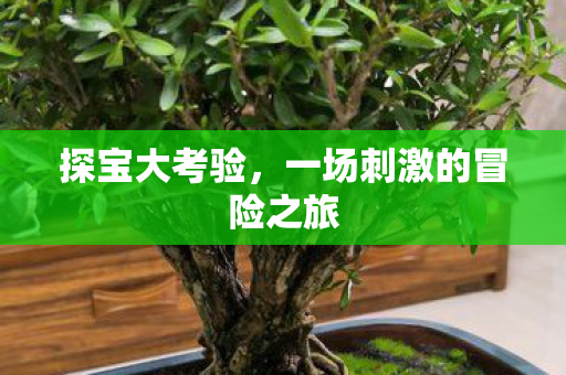 一场刺激的冒险之旅图片