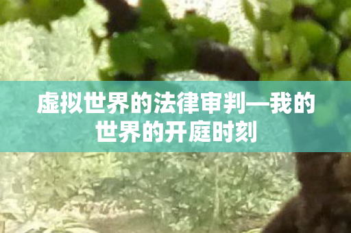 虚拟世界的法律审判图片