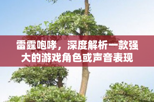 深度解析一款强大的游戏角色或声音表现图片