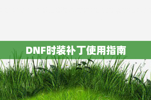 DNF时装补丁使用指南图片