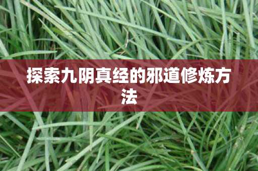 探索九阴真经的邪道修炼方法图片