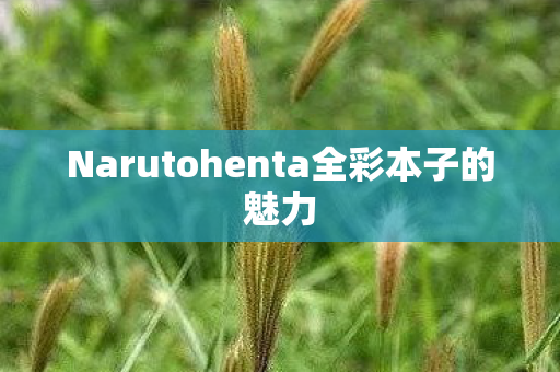 Narutohenta全彩本子的魅力图片
