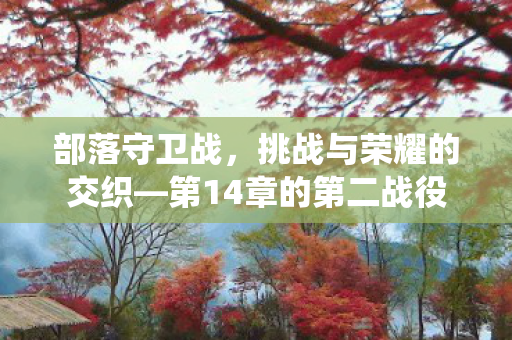 第14章的第二战役图片