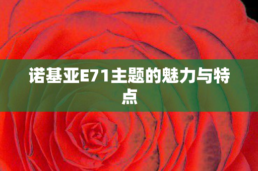 诺基亚E71主题的魅力与特点图片
