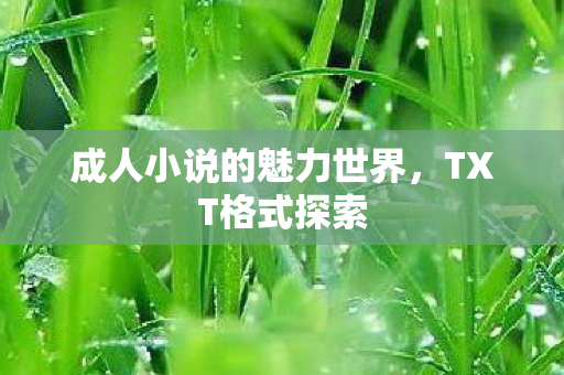 成人小说的魅力世界图片
