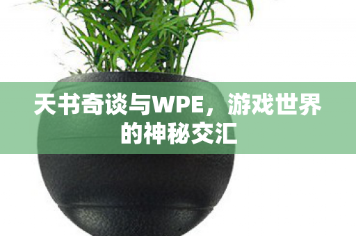 游戏世界的神秘交汇图片