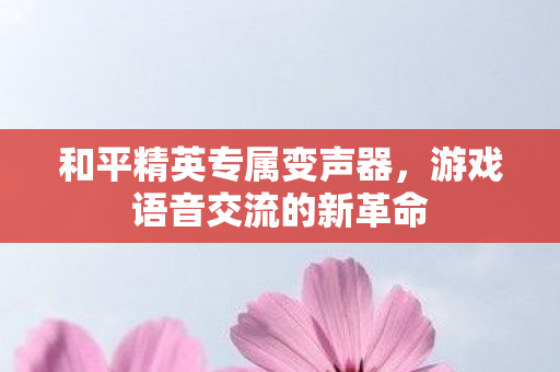 游戏语音交流的新革命图片
