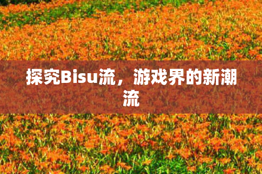 探究Bisu流图片