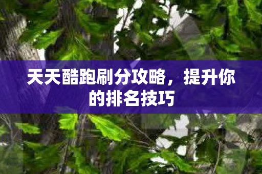 天天酷跑刷分攻略图片