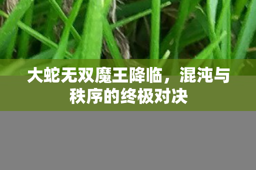 混沌与秩序的终极对决图片