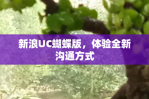 体验全新沟通方式图片