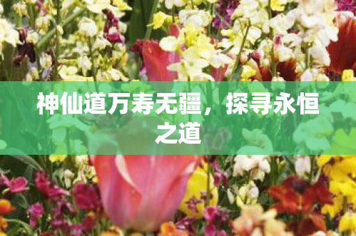神仙道万寿无疆图片