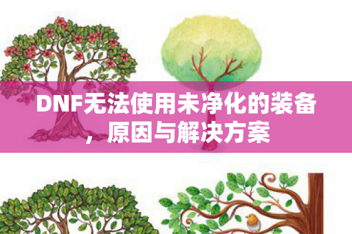 DNF无法使用未净化的装备图片