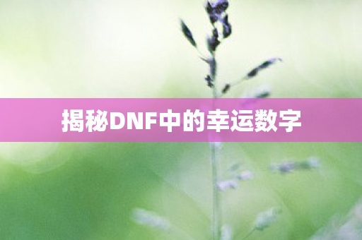 揭秘DNF中的幸运数字图片