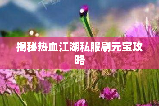 揭秘热血江湖私服刷元宝攻略图片