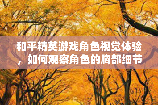 和平精英游戏角色视觉体验图片