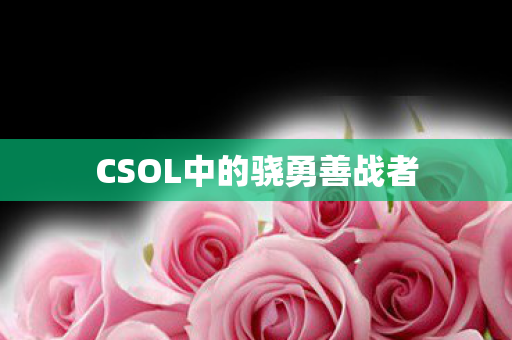CSOL中的骁勇善战者图片