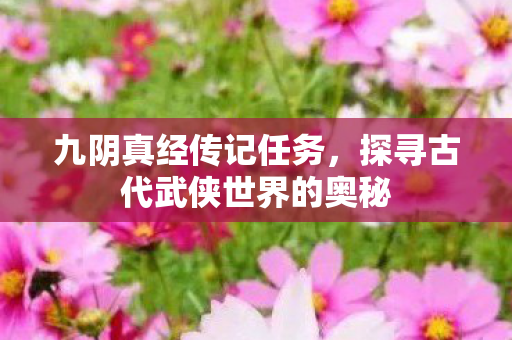 探寻古代武侠世界的奥秘图片