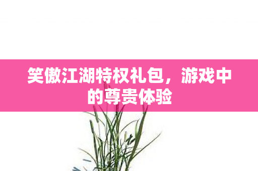 笑傲江湖特权礼包图片