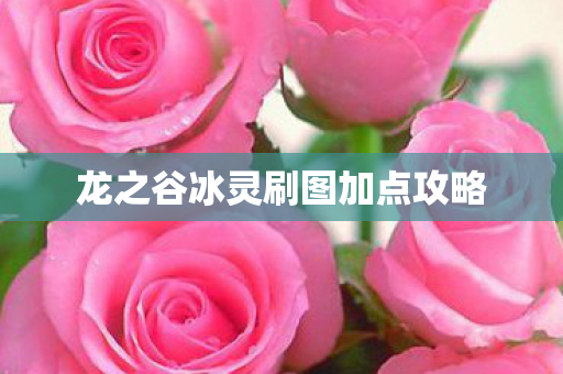 龙之谷冰灵刷图加点攻略图片