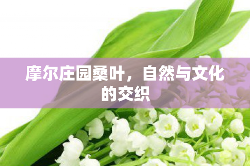自然与文化的交织图片