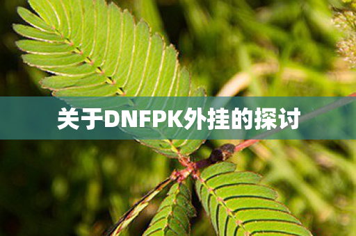 关于DNFPK外挂的探讨图片