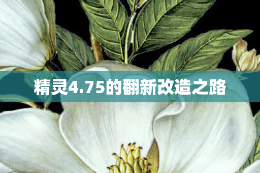 75的翻新改造之路图片