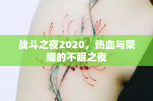 热血与荣耀的不眠之夜图片