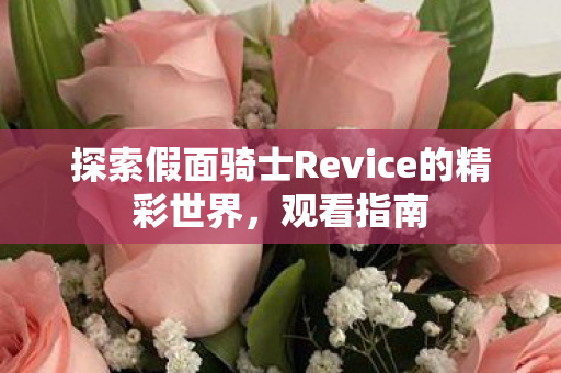 探索假面骑士Revice的精彩世界图片