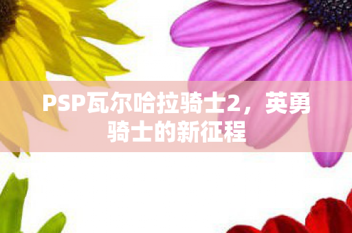 PSP瓦尔哈拉骑士2图片